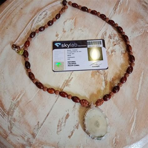 1点物【POLYP CORAL】イソギンチャクの化石★カウカビーズ★54粒紐ネックレス | Shiwa Rudraksha