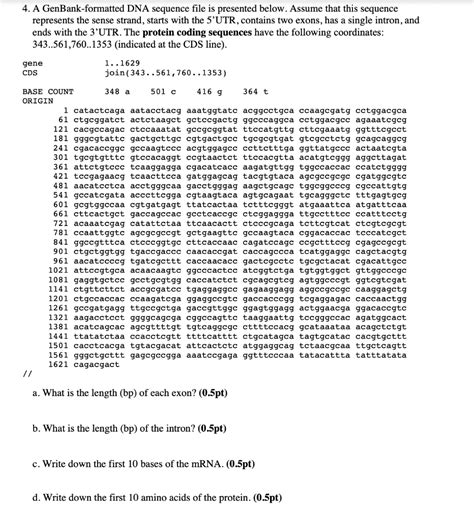 GenBank File 的图像结果