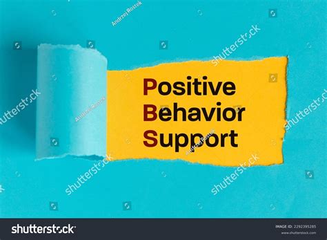Positive Behaviour Support Example 的图像结果