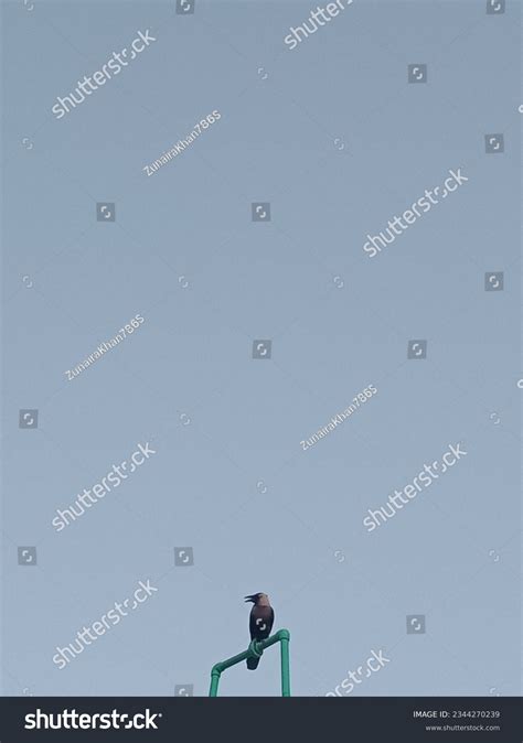 333 Moon Water Pipes Images, Stock Photos & Vectors | Shutterstock