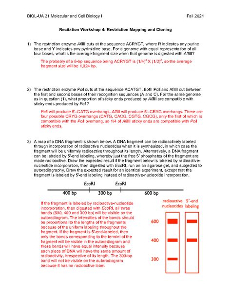 Mcb 4 - mob practice - BIOL-UA 21 Molecular and Cell Biology I Fall ...