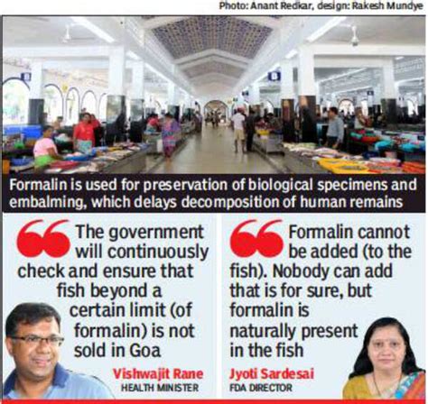 After public flak, govt & FDA say formalin inherent in fish | Goa News ...