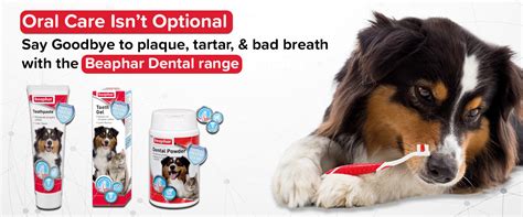 Beaphar Dog Dental Care Products – Fresh Breath & Healthy Teeth