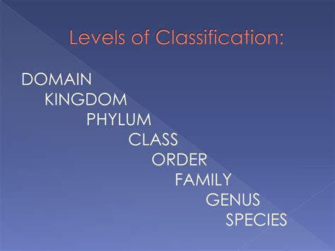 Image result for Scientific Classification