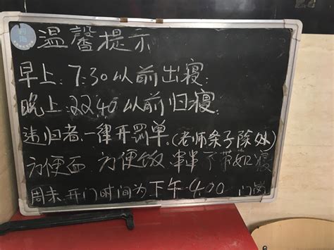 重庆一外2017小升初名校游图片分享_重庆外国语学校_重庆奥数网