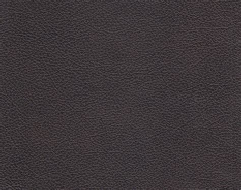 Evolution of Java 的图像结果