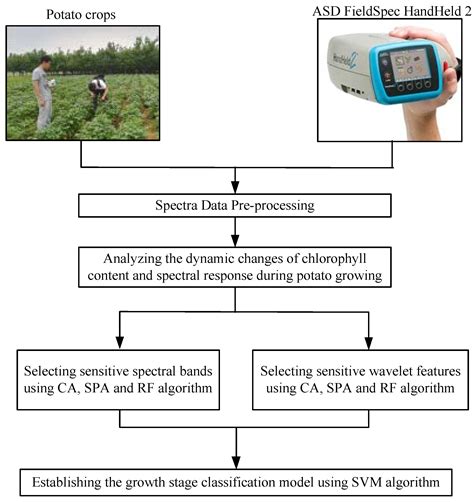 Growth Stages Classification of Potato Crop Based on Analysis of ...