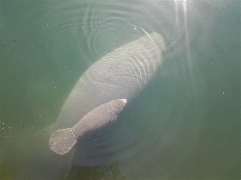 SUP WEEKI (STAND UP PADDLEBOARD) (2026) All You Need to Know BEFORE You ...