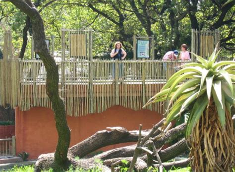 ZooLex Image - Main Viewing Deck