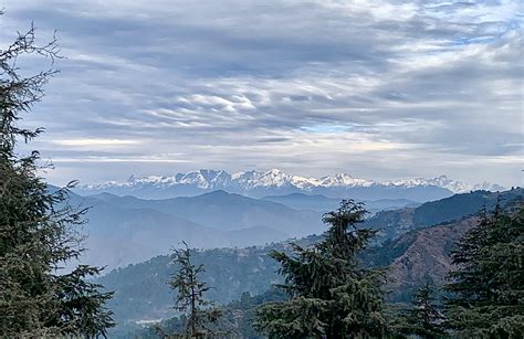 Glamping guys Eco Glamp want you to invest Rs 25 lakh in return for ...