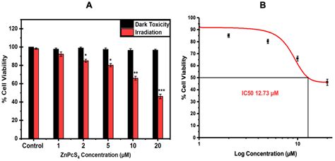 The Efficacy of Zinc Phthalocyanine Nanoconjugate on Melanoma Cells ...