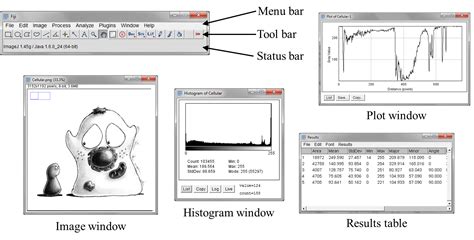 Image result for ImageJ Software Java Version 8