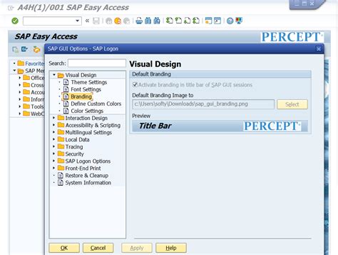 SAP GUI HTML 的图像结果