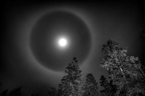 Moon Dog Photograph by Doug Gibbons - Fine Art America