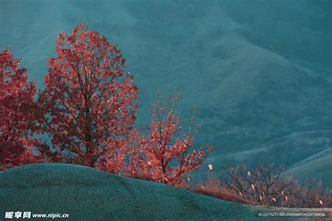 【山色空蒙摄影图片】风光摄影_老树皮的摄影博客_太平洋电脑网摄影部落