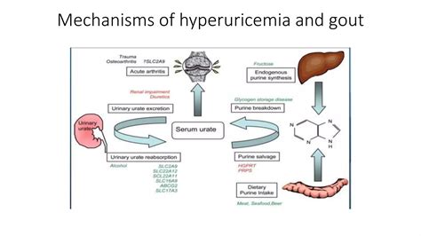 Febuxostat vs Allopurinol. | PPTX