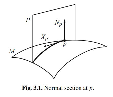 Image result for Normal Section Differential Geometry Visualization