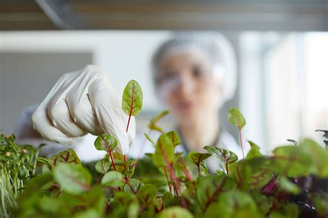 Research - Nath Bio-Genes (I) Ltd.