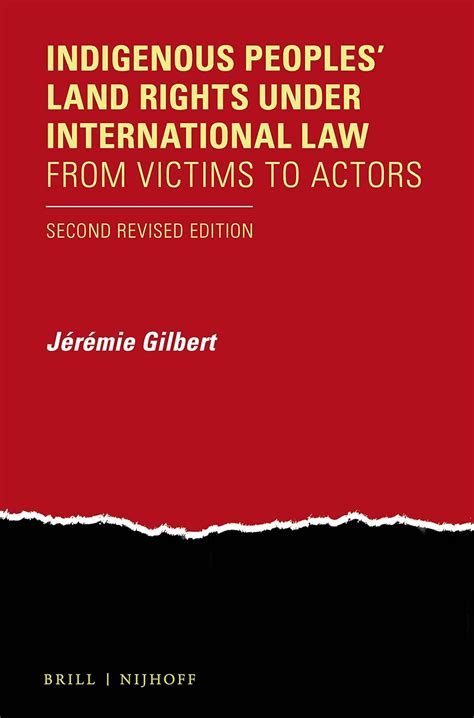 Buy Indigenous Peoples' Land Rights Under International Law: From ...