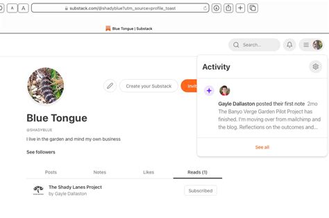 Image result for Substack Handle Ideas