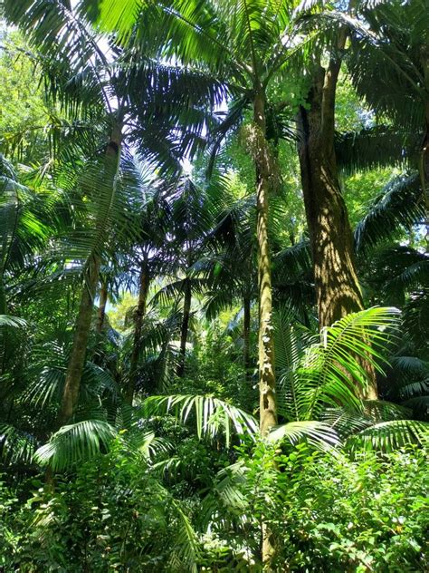 Proberaumbeteiligung für Musiker in Hamburg Ottensen in Hamburg | Musik ...