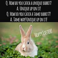 Image result for Easter Bunny Jokes Clean
