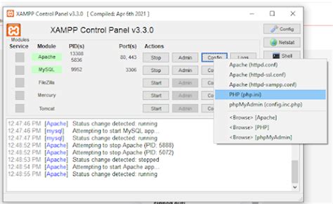 Localhost CodeIgniter 的图像结果
