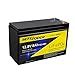 12V 8Ah LiFePO4 Lithium Deep Cycle Rechargeable Battery, 2000+ Cycles ...