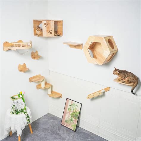 Wall Mounted Cat Shelves Set at Brodie Eldershaw blog
