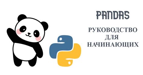 Pandas для начинающих — Teletype