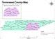 Entry #14 by mahwishmuzammil for Tennessee County Map | Freelancer