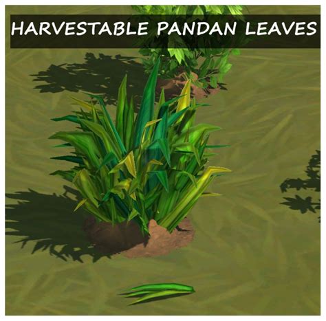 HARVESTABLE PANDAN LEAVES – icemunmun
