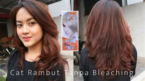 Image result for Tutorial Cat Rambut