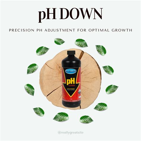 pH DOWN - Living Jungle Hydroponics
