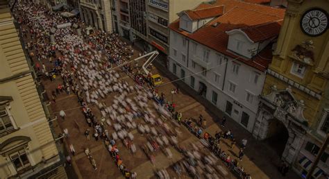 Prijava › RijekaRun™