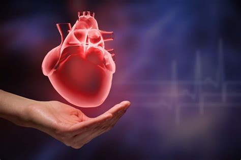 你的心脏健康吗？如果有这3种特点，说明你更易长寿！|心脏病|心脏|健康_新浪网