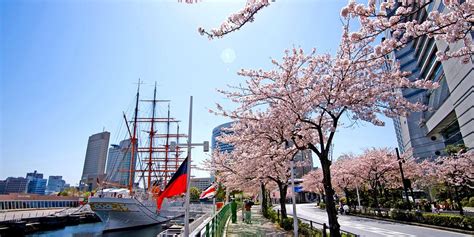 Yokohama Tourism (2023): Best of Yokohama, Japan - Tripadvisor