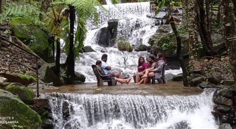 Baalecool Nature Resort Sakleshpur