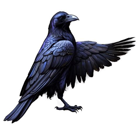 Raven Cosplay Flow 的图像结果