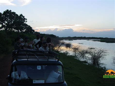 ECO TEAM (2026) All You Need to Know BEFORE You Go (with Photos ...