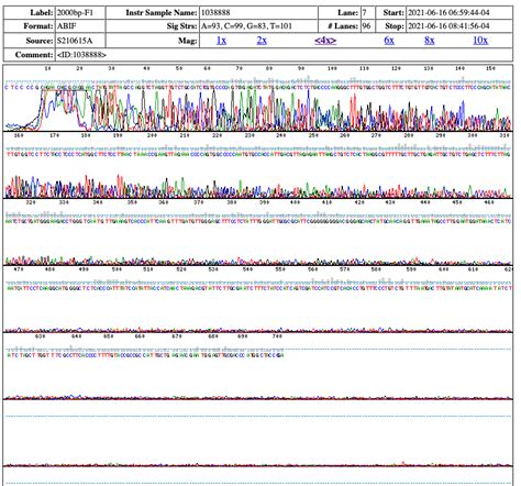 Image result for DNA Sequencing