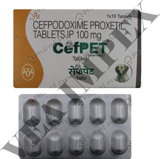 Buy Cefpet 100 MG Tablet (10) Online at Flat 15% OFF | PharmEasy