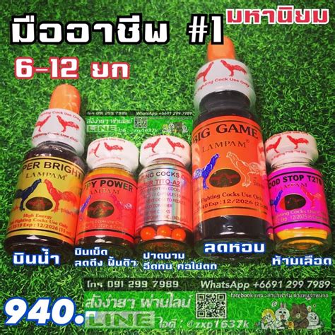ชุดตีมืออาชีพ 1 | LINE SHOPPING