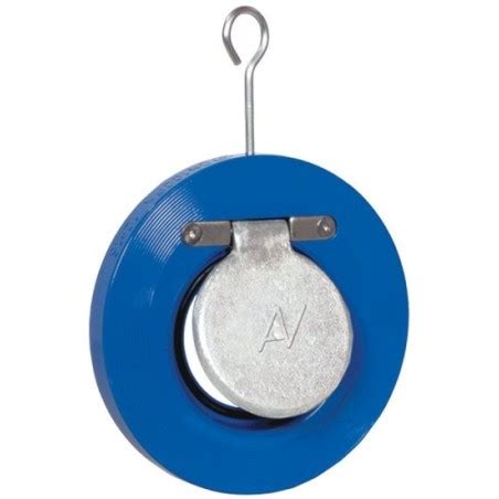 Top Check Valve Supplier & Price in India – Udhhyog