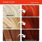 Buy Raggiana Orange Hair Color Jar Online – Paradyes