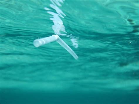 MCP Green Side - Mallorca Charter Point