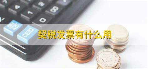 合并纳税申报操作指引 -----契税税源采集及申报_信息