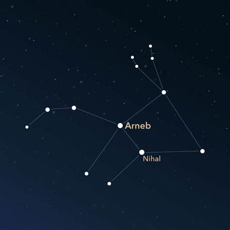 Constellation Lepus | Interesting Information