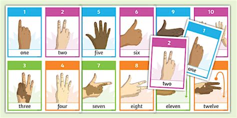 South African Sign Language Numbers Flashcards - Twinkl