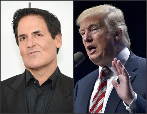 President Trump says Mark Cuban ‘isn’t smart enough to run for ...